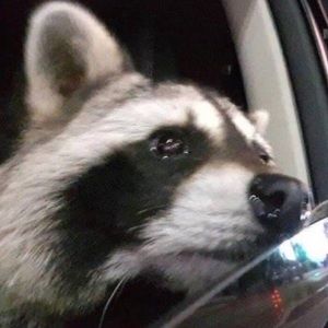 Meet your Posher, Juan